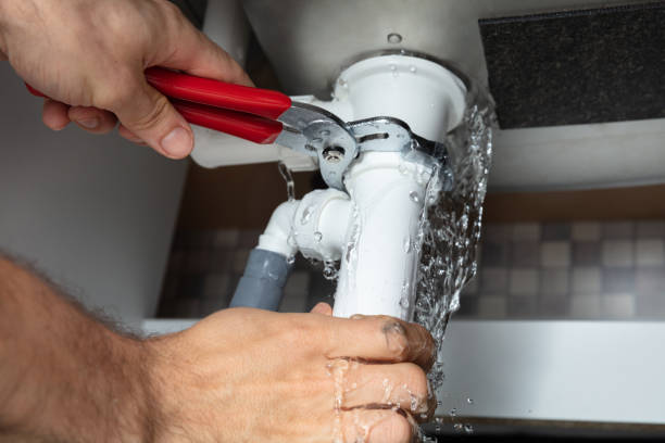 Best Water damage cleanup near me  in Farrell, PA