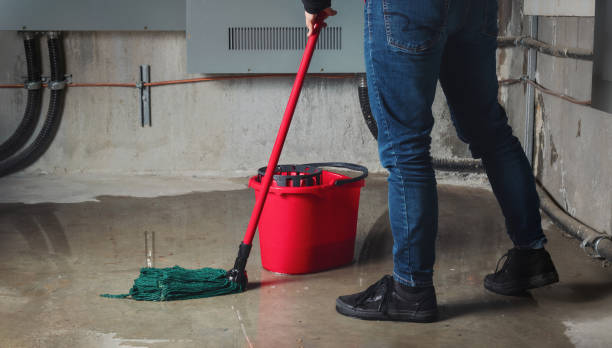Best Water damage restoration company  in Farrell, PA