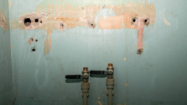 Best Water damage restoration near me  in Farrell, PA