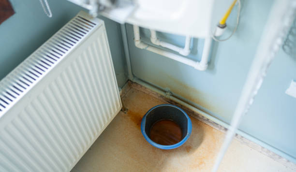 Best Sewage cleanup and water damage restoration  in Farrell, PA